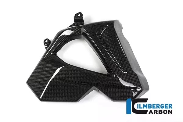 Ilmberger Carbon Right Radiator Cover BMW F 800 R 2015-2020