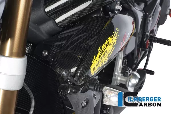 Ilmberger Carbon Side Cover Above The Radiator Left Triumph 2011-2020