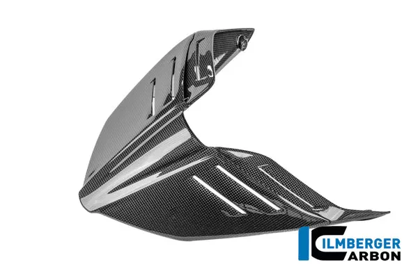 Ilmberger Carbon Solo Rear Tail Panel Ducati Panigale V4 2025-2026