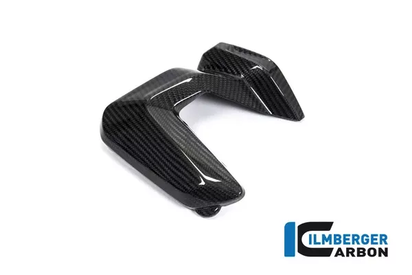 Ilmberger Carbon Spark Plug Cover Right BMW R 1250 GS / R 1250 R / R 1250 RS