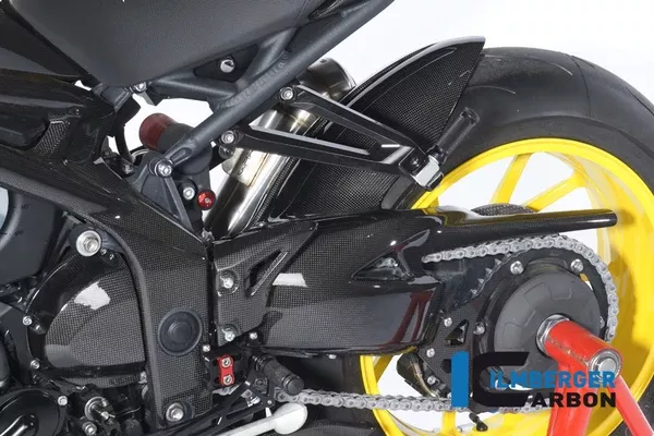 Ilmberger Carbon Swingarm Protection Triumph 2011-2020