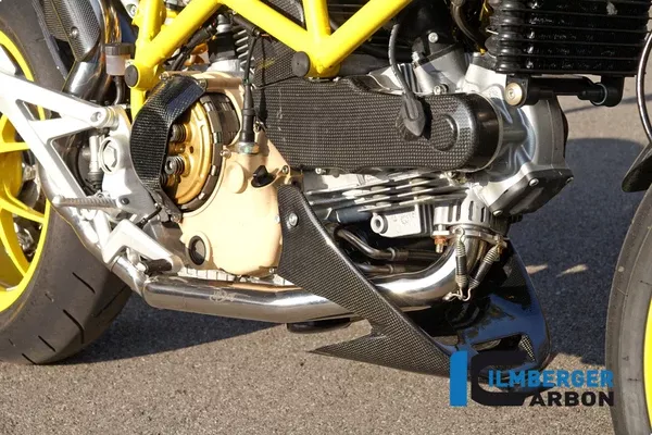 Ilmberger Carbon Timing Belt Cover 1100 DZ Horizontal
