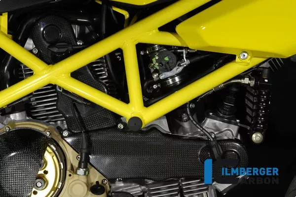 Ilmberger Carbon Timing Belt Cover 1100 DZ Vertical