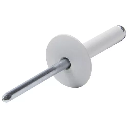 Large Head Rivet White 200pk ALL18031