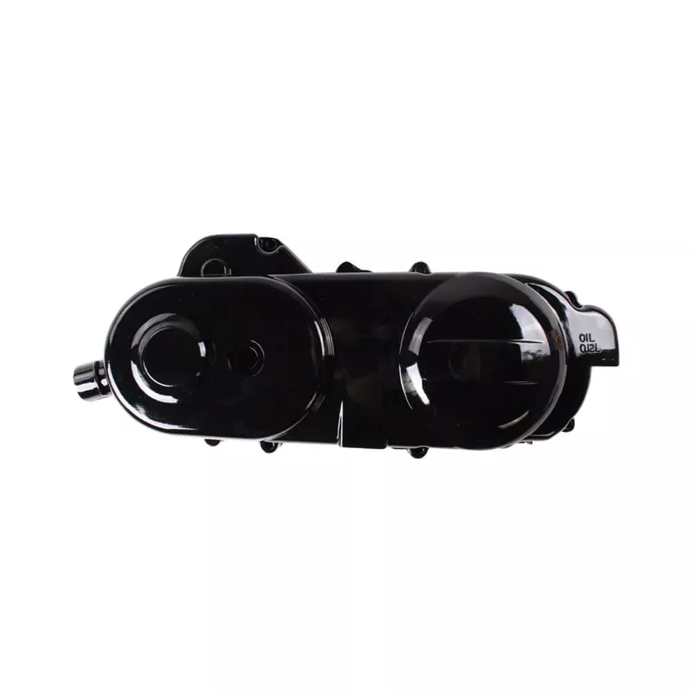 Left Side Crankcase Cover; CSC go., 139QMB Scooters