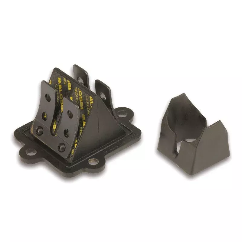 Malossi Carbon Reed Valves & Cage