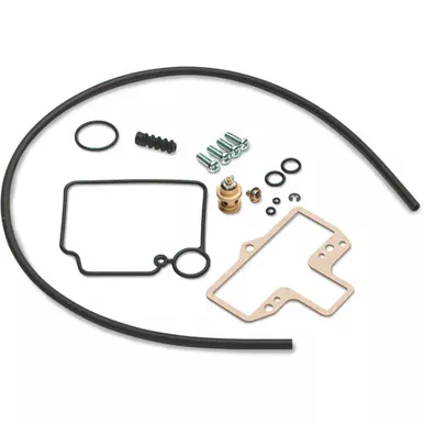 Mikuni Rebuild Kit