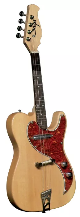 MT-10 Saga Electric Mandolin Kit