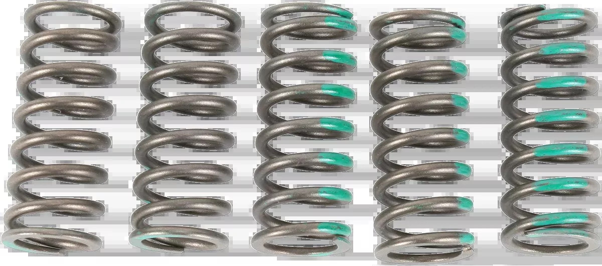 Pro Circuit Clutch Springs – KX 450F-CSK19450-CS