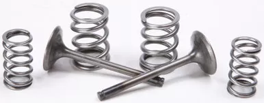 Prox Steel Exhaust Valve Spring Kit - 28.SES4409-1