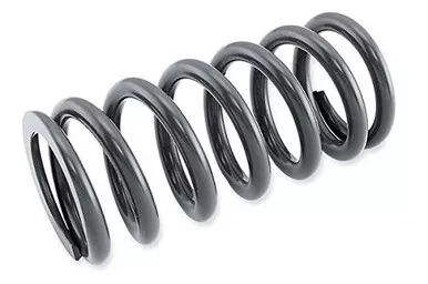 Race Tech Shock Spring 4.2Kg - SRSP 672742