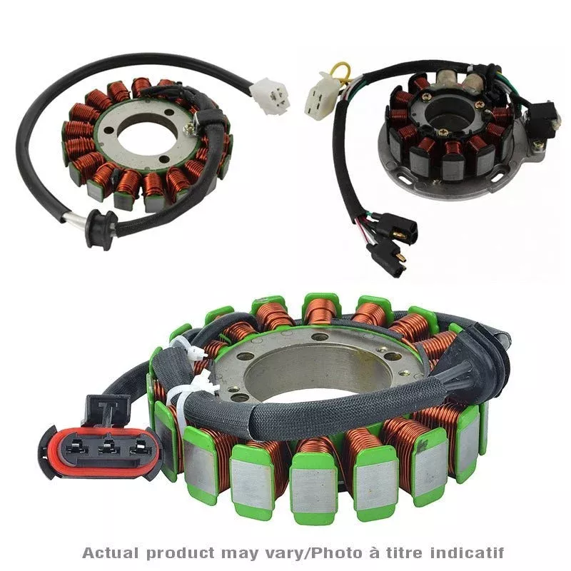 Rick's Motorsport Electric Stator/Alternator