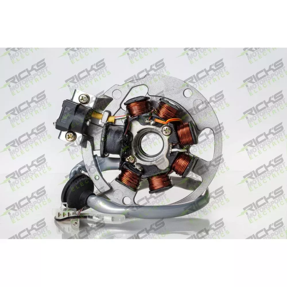 Ricks Stator 21-550