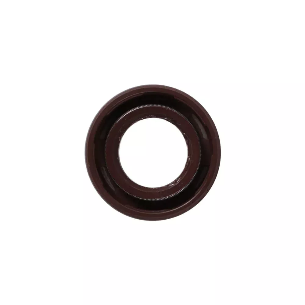 Right Crankcase Oil Seal (16.4×30×5); CSC go., 139QMB Scooters