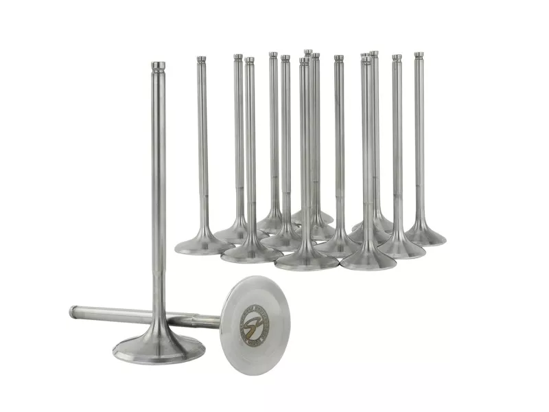 SK Alpha Valves