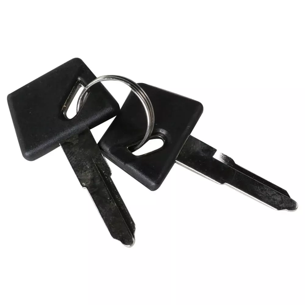 Spare Key Set For Ignition; CSC go., Go Max, Genuine Venture