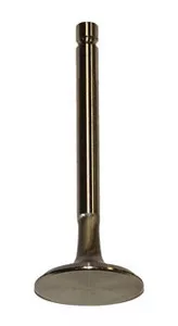 Stainless Steel Valve (25mm)For Predator 212cc (Hemi & Non-Hemi)