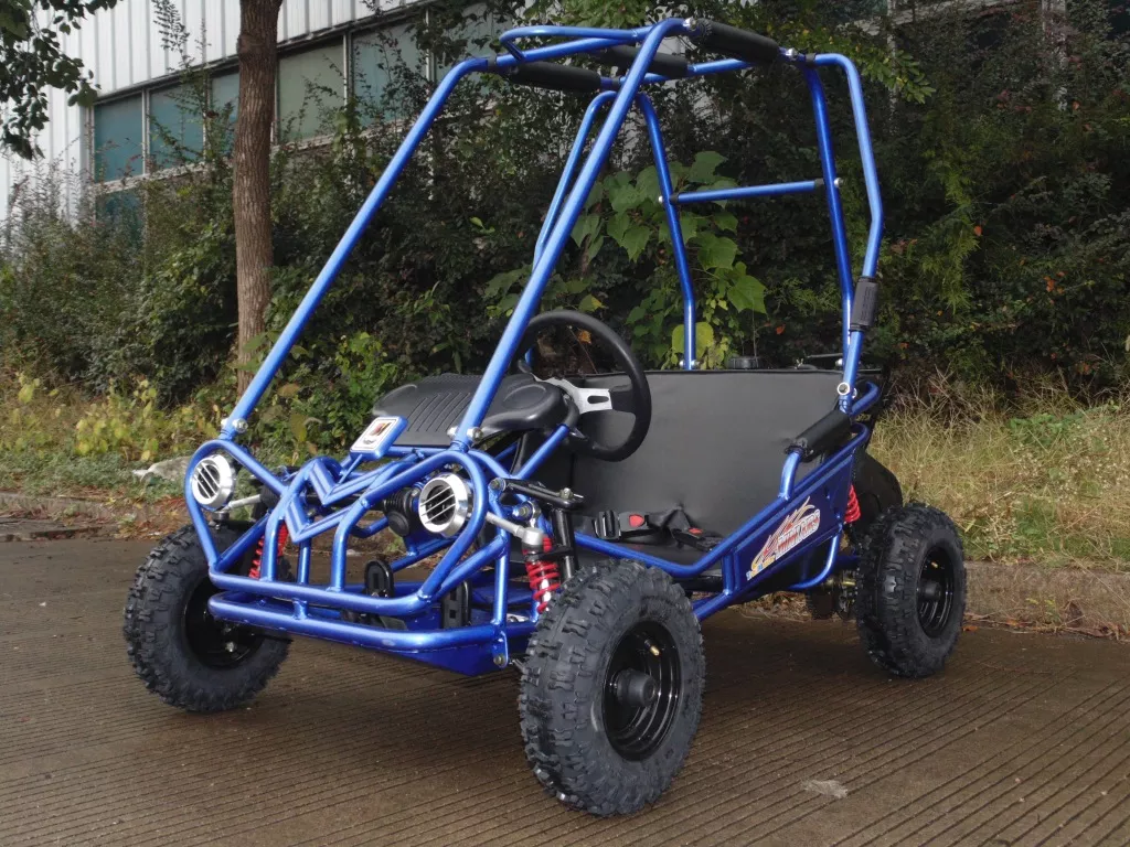 Trailmaster Mini XRS+Kids Go Kart | 5.5 HP (163cc)