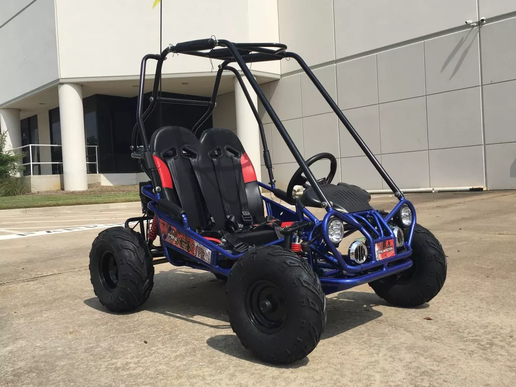 Trailmaster Mini XRX-R+ Kids Go Kart with Reverse | 5.5HP (163cc)