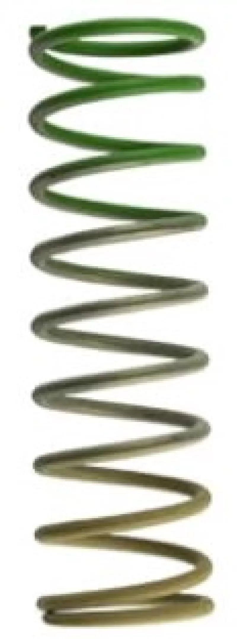 TS Wastegate Springs
