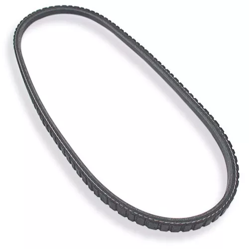 V Belt 41 ALL86123