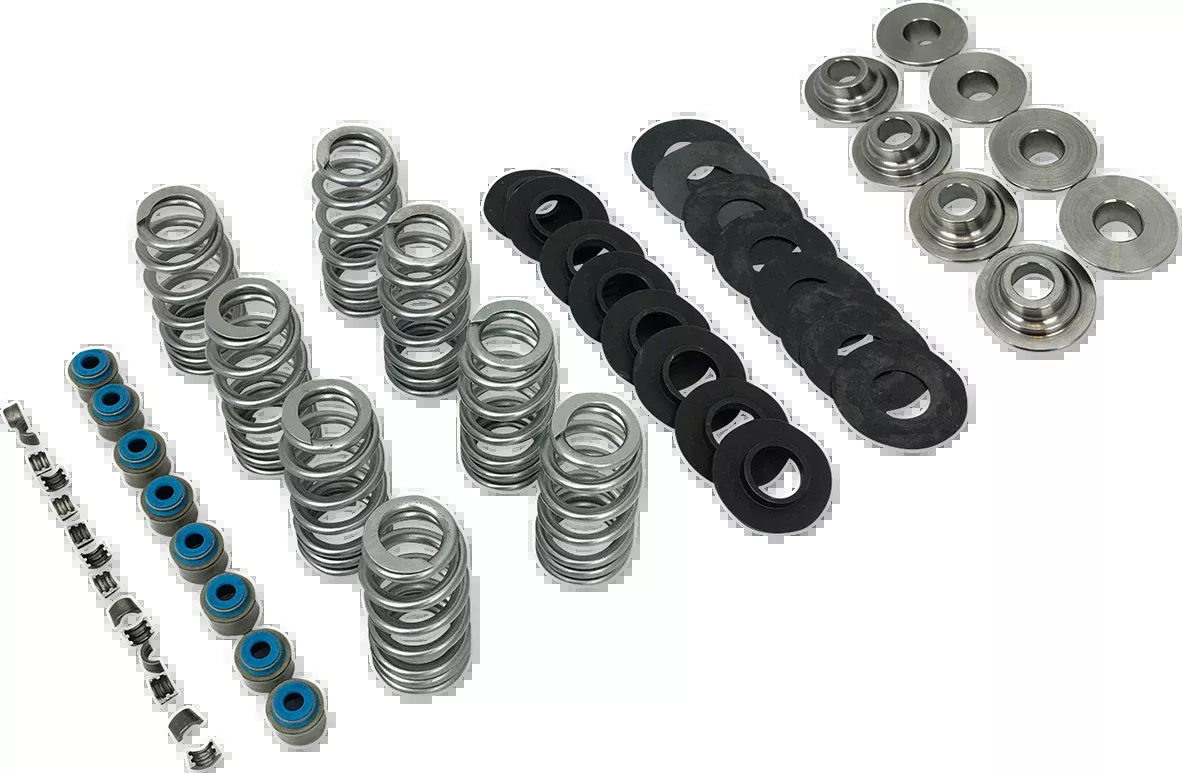 Valve Spring Kit - Endurance Beehive with TI Retainers - M8
