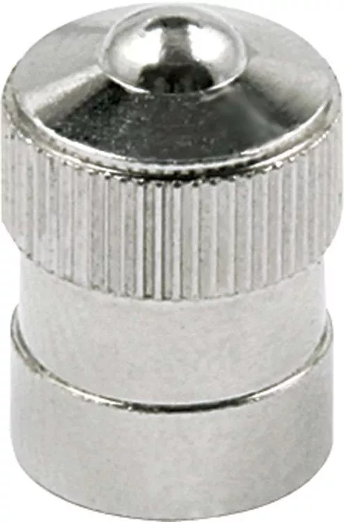 Valve Stem Cap 10pk ALL99151