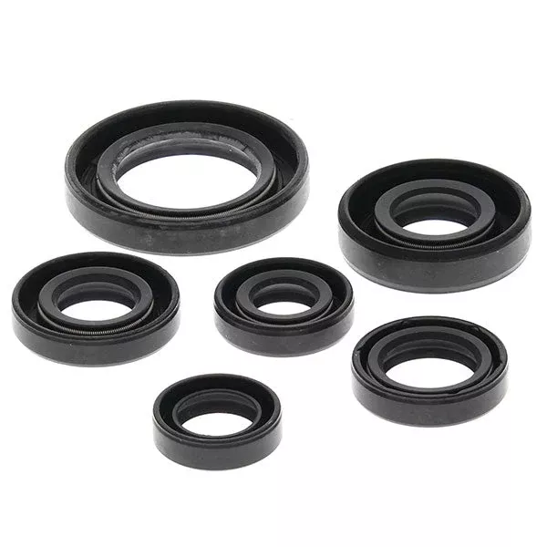 Vertex Oil Seal Kit