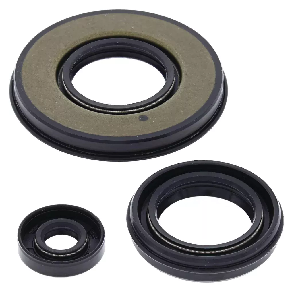 Winderosa Oil Seal Kit