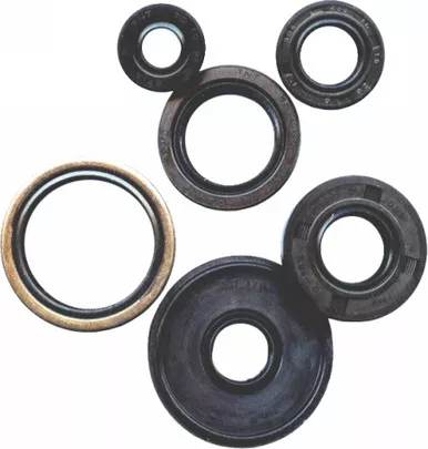 Winderosa Oil Seal Set - 822153