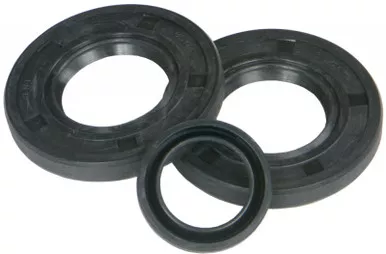Winderosa Pump Seal Kit Kaw - 623104