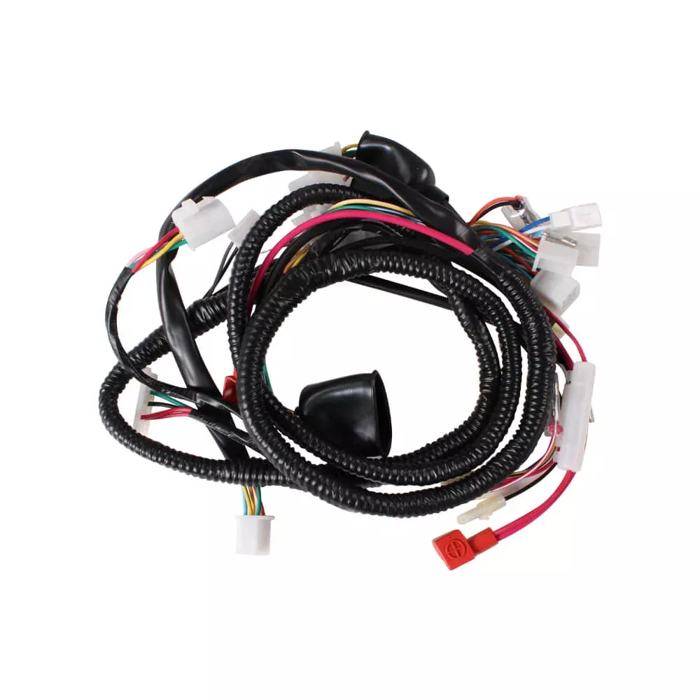 Wire Harness Assy; CSC GO., 139QMB Scooters