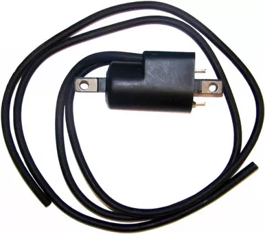 Wsm Ign Coil 2 Prong Sd Sd Coil – 004-176