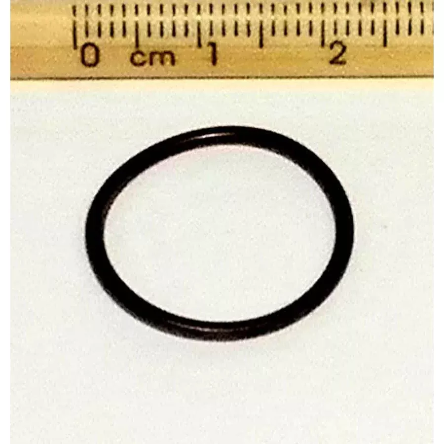 WSM Oil Pump O-Ring For Yamaha 200 – 300 Hp 90-10 541-44